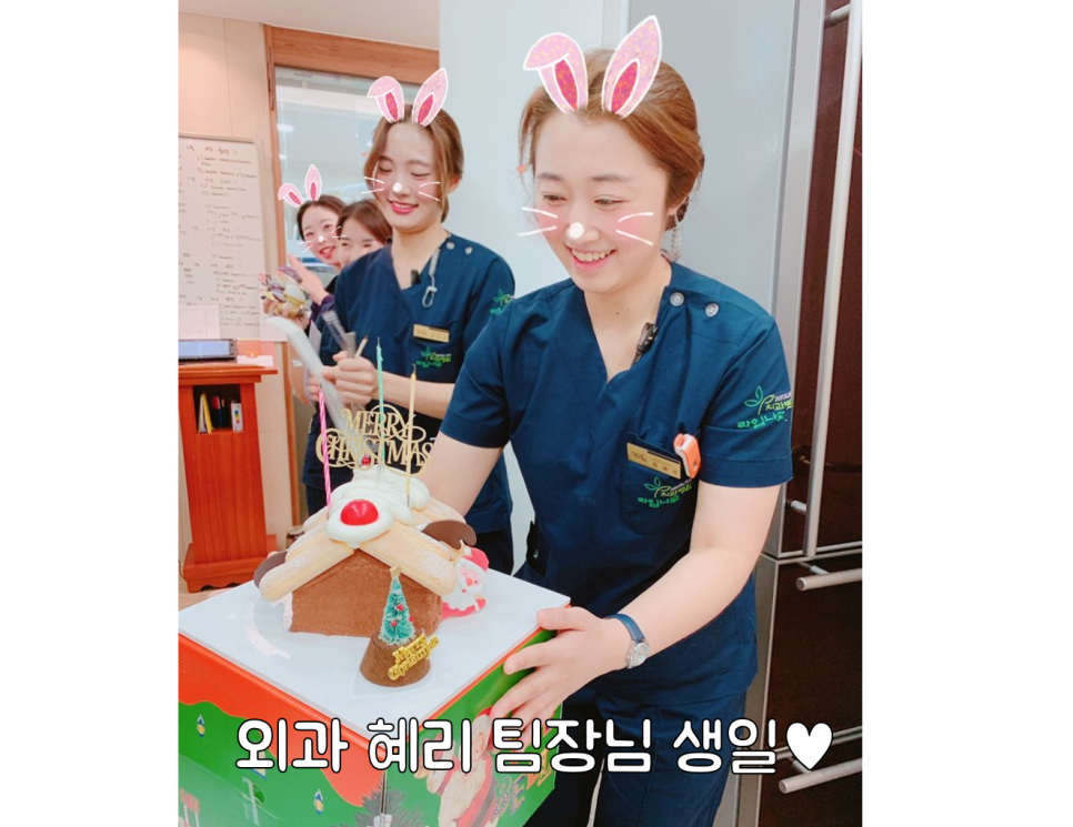 명동 라임나무치과 11월에 있었던 일♥ 관련 이미지 11