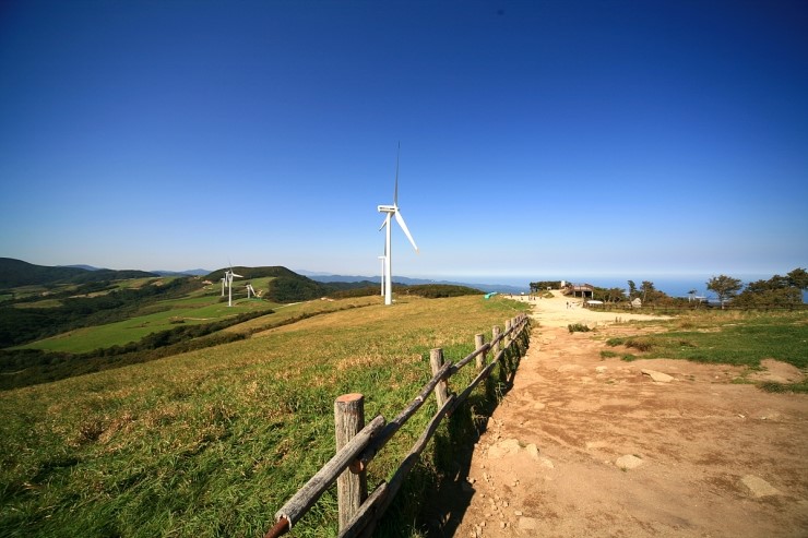 [명동치과]강원도 바람의 언덕, 날씨 좋은 가을날 나들이 어떠세요 관련 이미지 4