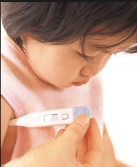 체온계 사용방법, 정확히 알고 사용해야 해요 관련 이미지 2