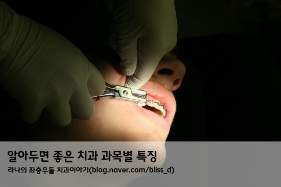 알아두면 좋은 치과 과목별 특징 관련 이미지 1