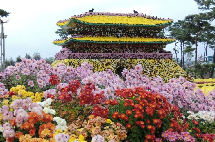 [명동치과]10월 축제 정보, 다양한 축제 알아보고 결정하세요 관련 이미지 6