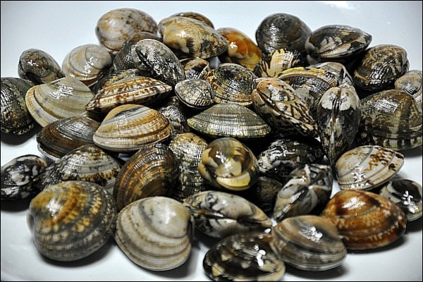 [명동치과]바지락 칼국수 만들기, 어떻게 만들어야 맛있을까요? 관련 이미지 2