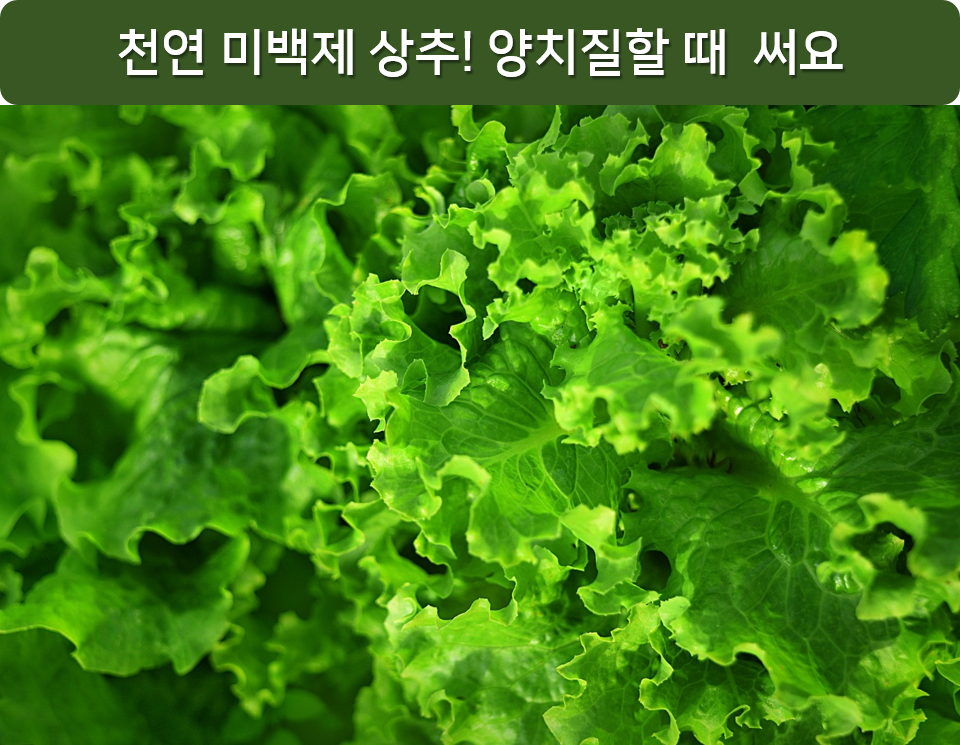 치아미백에 도움되는 음식? 미백치과 추천해요! 명동치과 라임나무 관련 이미지 4