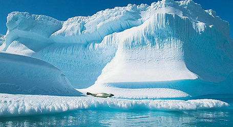 [명동치과 라임나무]물 마시는 방법, 적정량을 제때 먹어야 좋다고 합니다 관련 이미지 3