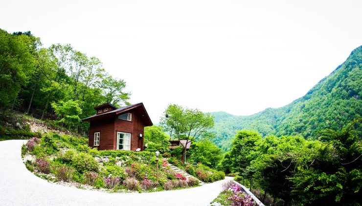 국립자연휴양림, 숲 체험부터 캠핑까지 가능해요 관련 이미지 1