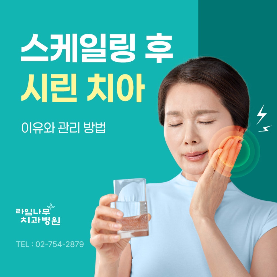 Why Your Teeth May Feel Sensitive After Scaling at a Myeongdong Dental Clinic and How to Care for Them image 2