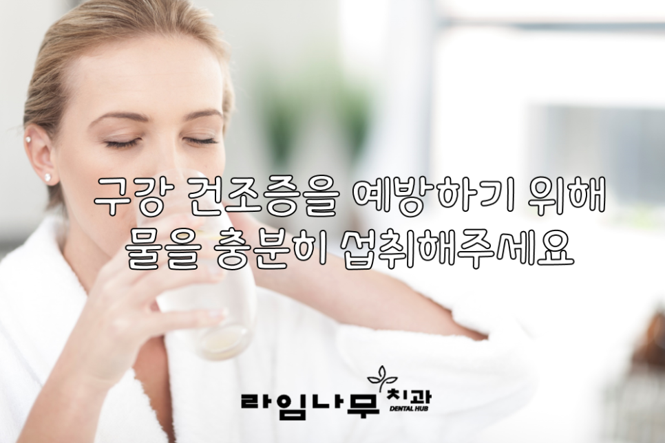 노년 시기 노인 틀니, 임플란트 와 치아관리법 알아봐요! 명동치과 라임나무 관련 이미지 3