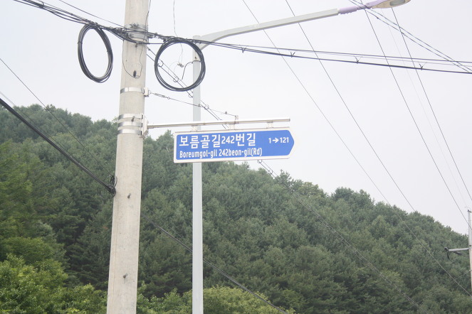 (2012년)서울세관과 함께한 라임나무 식구들의 봉사활동을 공개합니다 관련 이미지 5