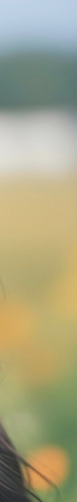 Why a Gangnam Rejuran Healer Dermatology Clinic Uses Moisturizing Skin Boosters image 42
