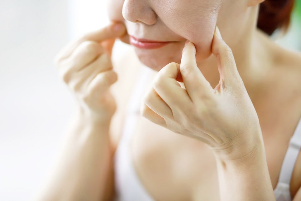 불독살제거리프팅 더블로에 대하여 관련 이미지 3