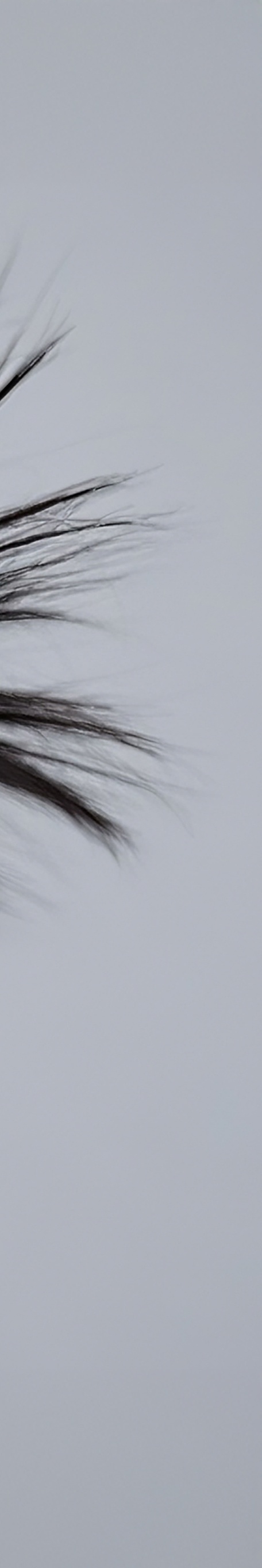 강남역 브이로 리프팅 제대로 효과를 보고 싶다면 관련 이미지 24