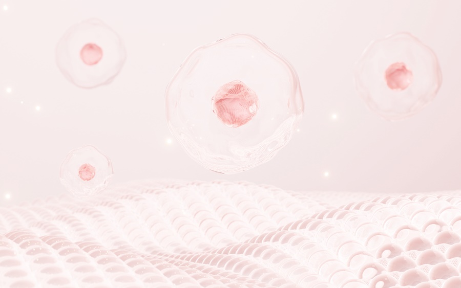 신논현역여드름흉터 피부과 전문의를 통해 관련 이미지 7