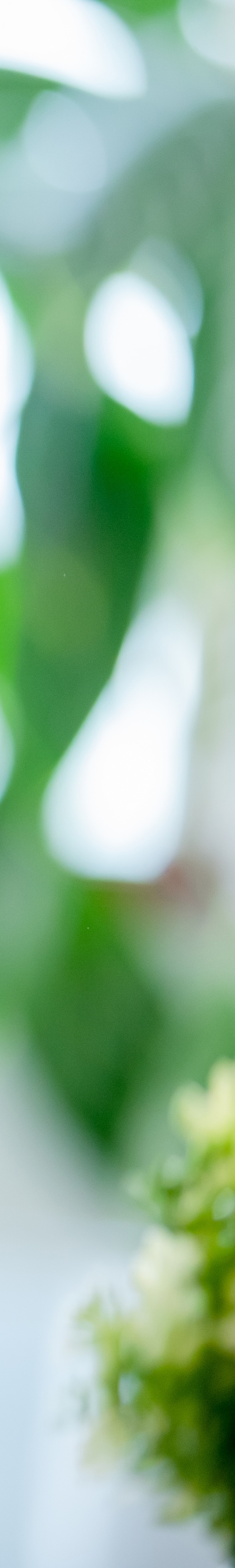 역삼동 써마지 자연스러운 탄력을 원한다면 관련 이미지 23