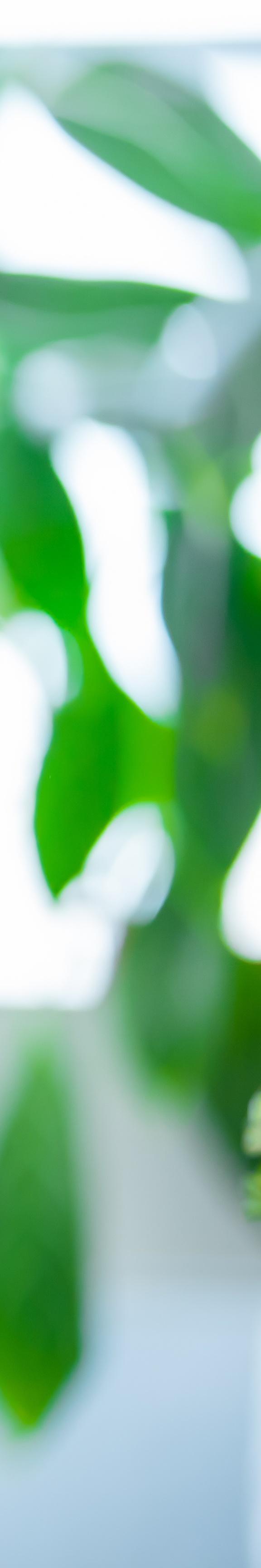 서초동피부과잘하는곳 탄탄한 피부를 원해 관련 이미지 22