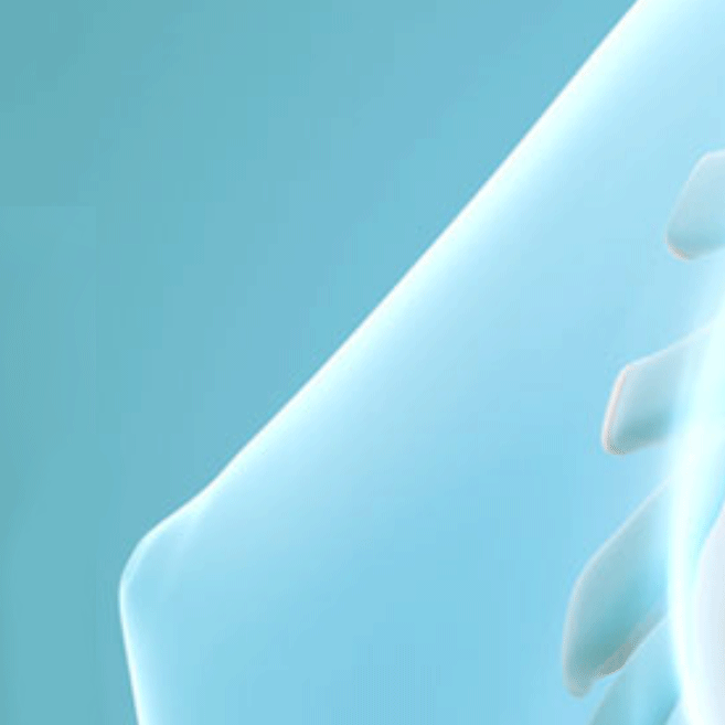 If You're Curious About Autologous Rib Cartilage, Click Here! image 5