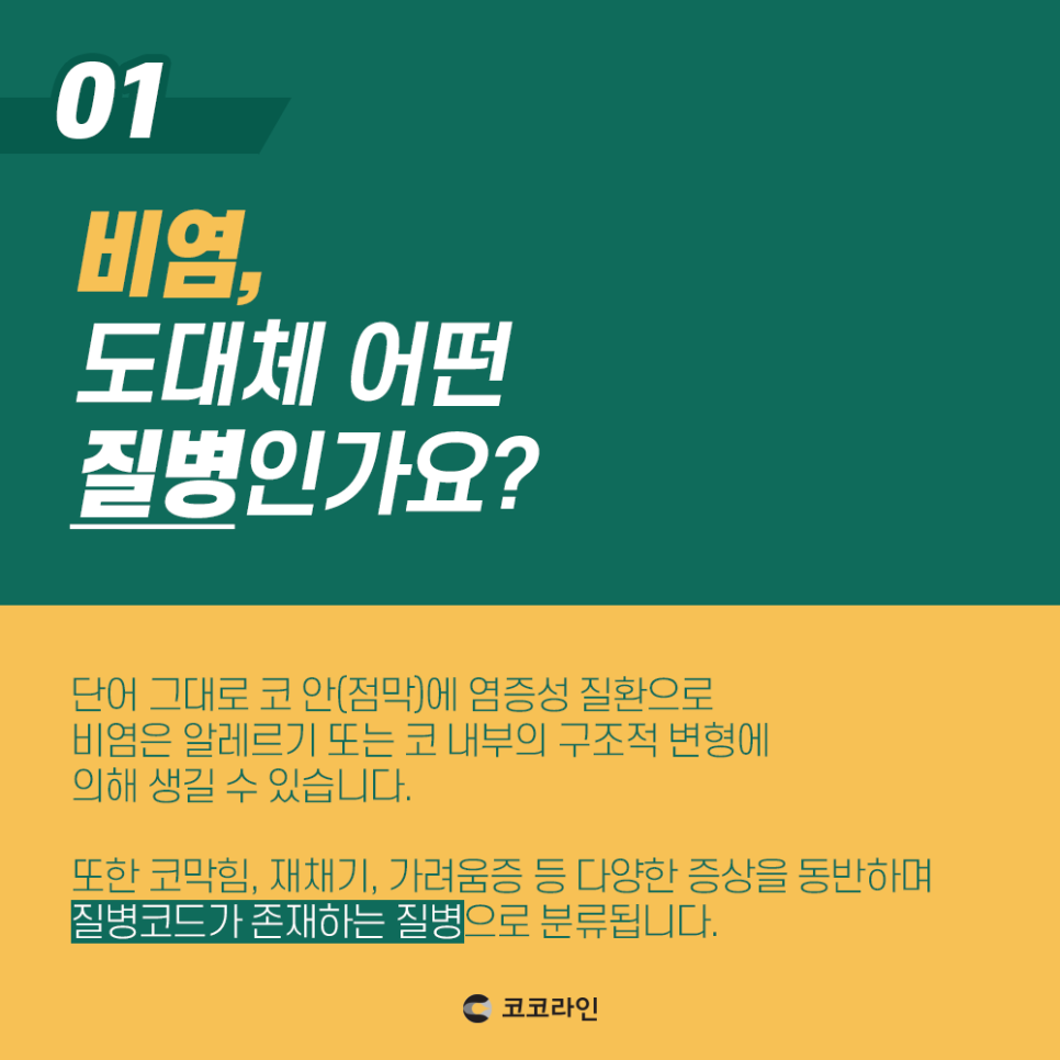 비염코수술 알아보는 중이라면 관련 이미지 1