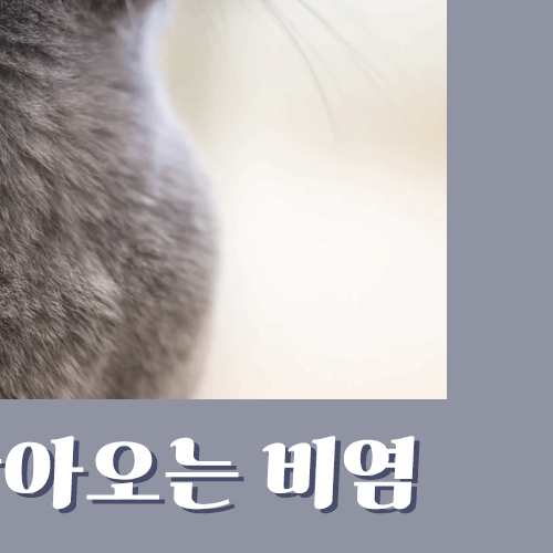 환절기 비염, 너무 괴로우시죠? 해결법 알려드립니다 관련 이미지 4