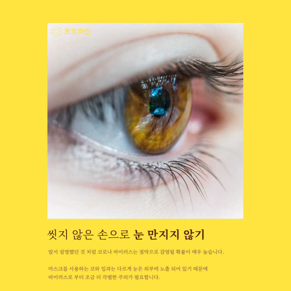How to Easily Prevent Viruses in Everyday Life image 4