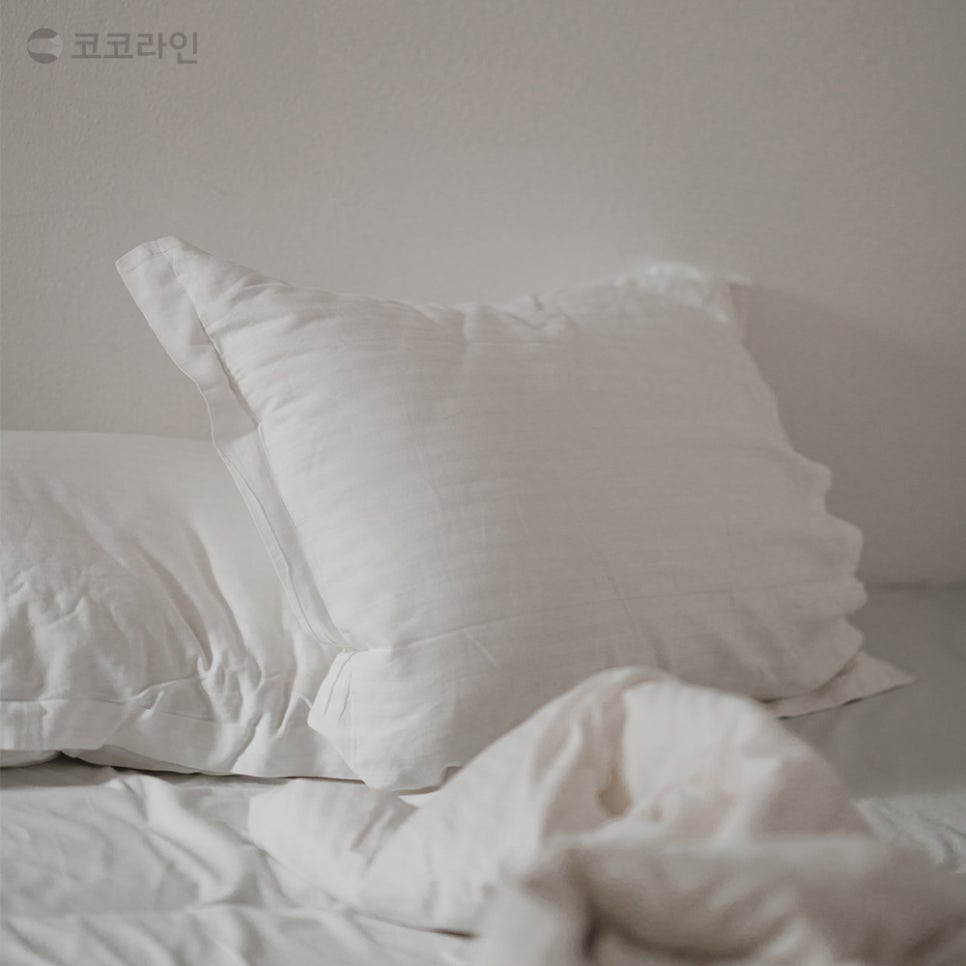 수술하고 3일 후에 회사 갈 수 있냐고요? 코코라인이 알려드릴게요 관련 이미지 2