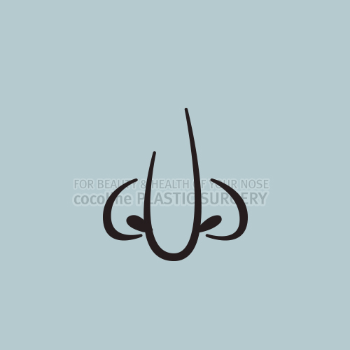 Cocoline Clinic: Reducing Wide Nostrils image 3