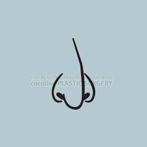 Cocoline Clinic: Reducing Wide Nostrils image 1