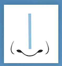 [Kokoline Clinic] About the Septum image 1
