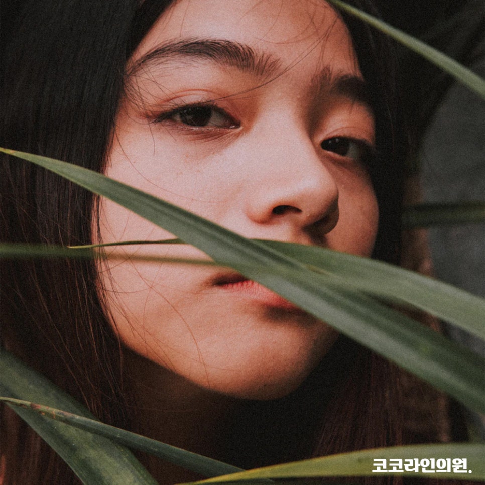 코코라인의원 칼럼, 예전에 다친 코 매부리가 될 수 있다? 관련 이미지 2