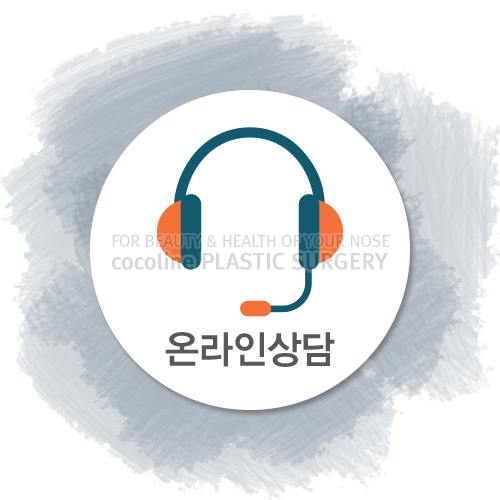 코수술전 코코라인 가상성형 통해 수술모습 미리확인!! 관련 이미지 2