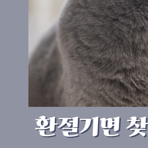 환절기 비염, 너무 괴로우시죠? 해결법 알려드립니다 관련 이미지 3