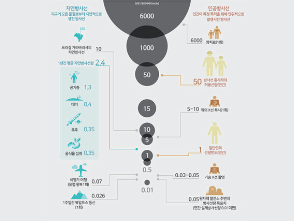 Mokdong Dental Clinic_1. Dental X-ray Radiation: Is It Really Dangerous? Here Are the Actual Standards image 1