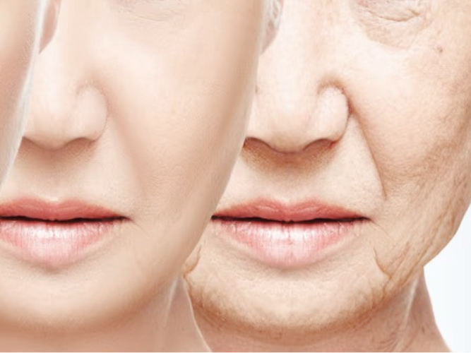 Magaok Station Dental Clinic_ “Why Do Gums Recede?” [1. Causes of Gingival Recession] image 7