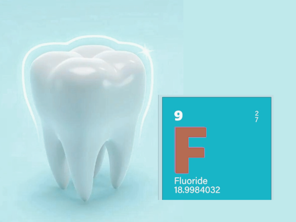 마곡동치과_&ldquo;불소, 치아를 어떻게 지켜주는 걸까?&rdquo;[1. 불소의 원리와 작용] 관련 이미지 5