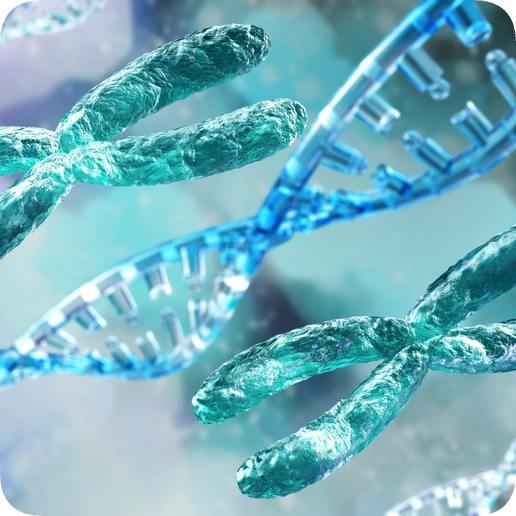 마곡역치과_2. 치주질환 원인 총정리! 잇몸병, 왜 생기는 걸까? 관련 이미지 3