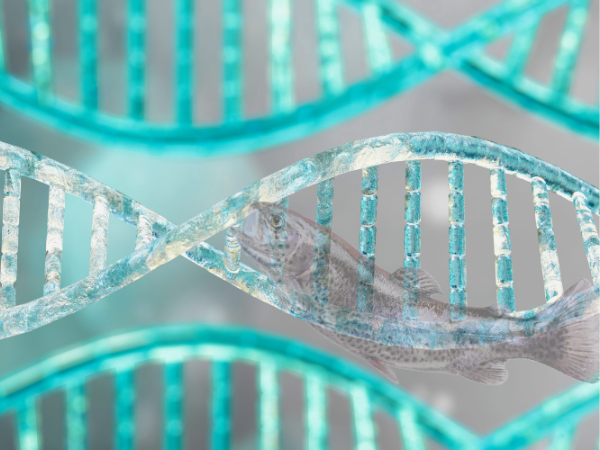 마곡동치과_1. 잇몸재생주사 PDRN, 연어주사 성분이 잇몸에 쓰이는 이유 관련 이미지 1