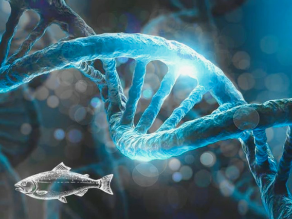 마곡동치과_3. 잇몸재생주사 PDRN 시술 과정, 통증, 안전성 총정리 관련 이미지 6