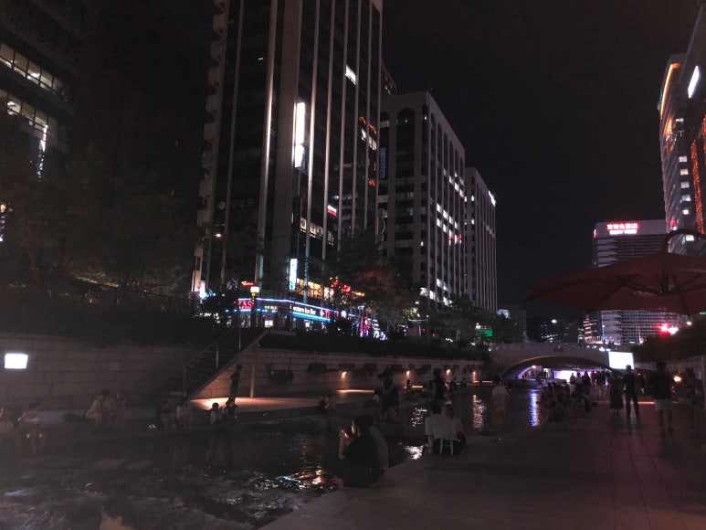 광화문 음식점 소개/식사추천/맛집/SFC몰.디타워 관련 이미지 35