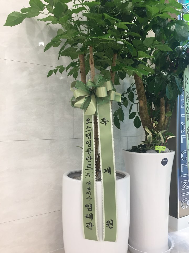 오스템임플란트 대표이사님, ㅅㅎ은행(본점) 부행장님 등/연세예감치과 오픈! 화환 & 개원선물받았어요 관련 이미지 4