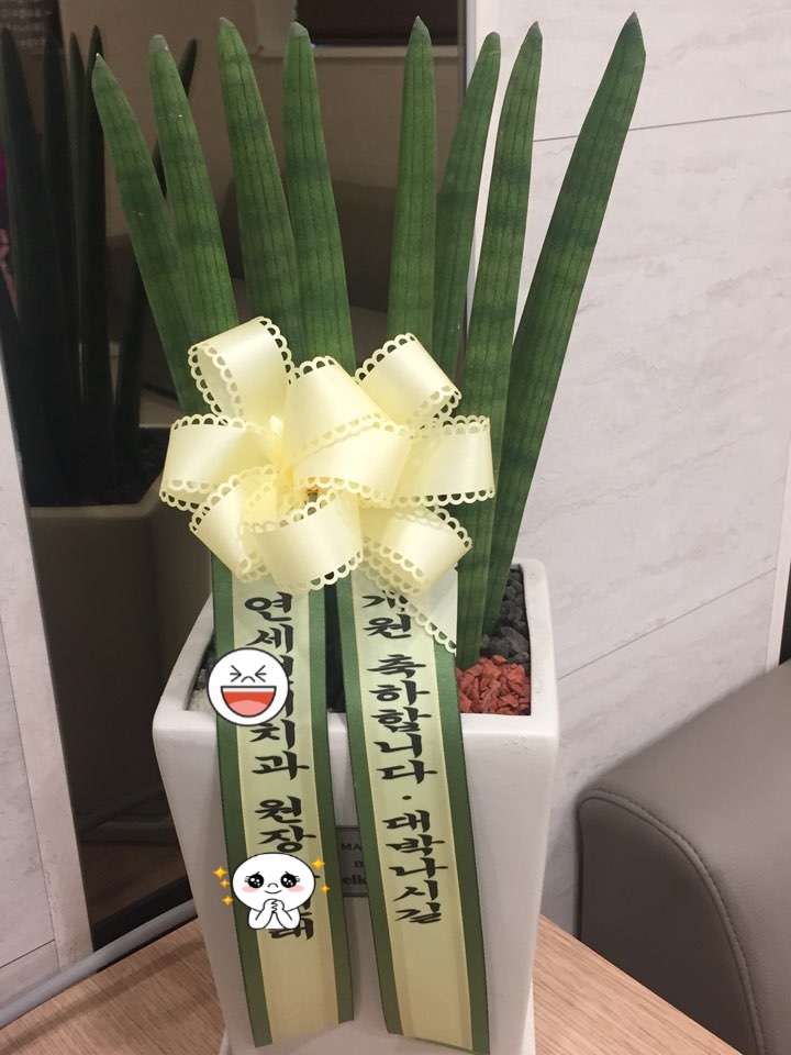 오스템임플란트 대표이사님, ㅅㅎ은행(본점) 부행장님 등/연세예감치과 오픈! 화환 & 개원선물받았어요 관련 이미지 9