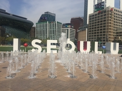 광화문-시청<엘쁠라또광화문점><림벅와플><스타벅스태평로점> 관련 이미지 15