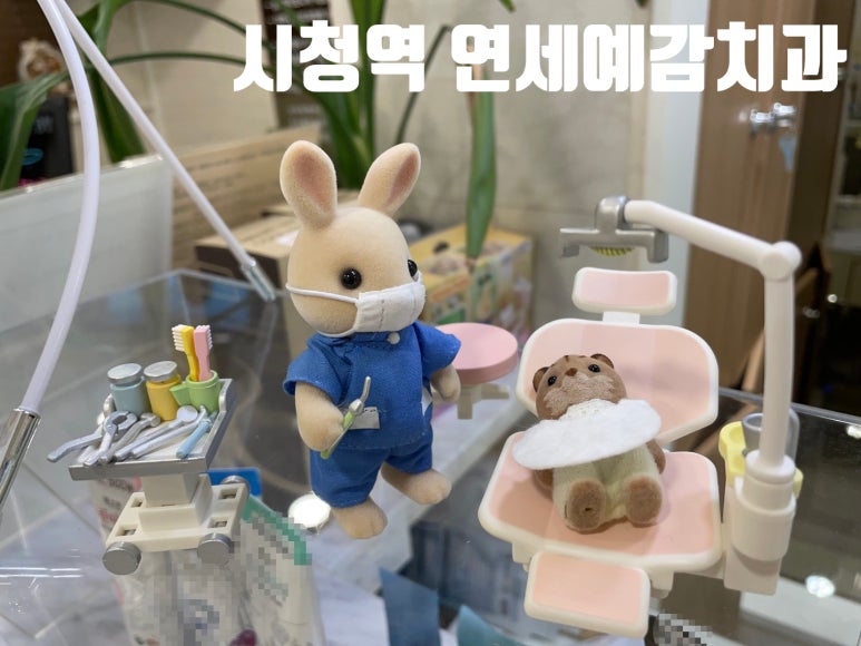 시청역 광화문 겁많은 사람들에게 딱 좋은 내비게이션 임플란트 치과 관련 이미지 1