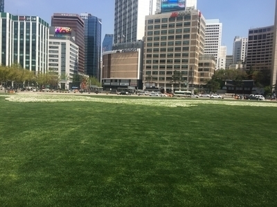 광화문-시청<엘쁠라또광화문점><림벅와플><스타벅스태평로점> 관련 이미지 12