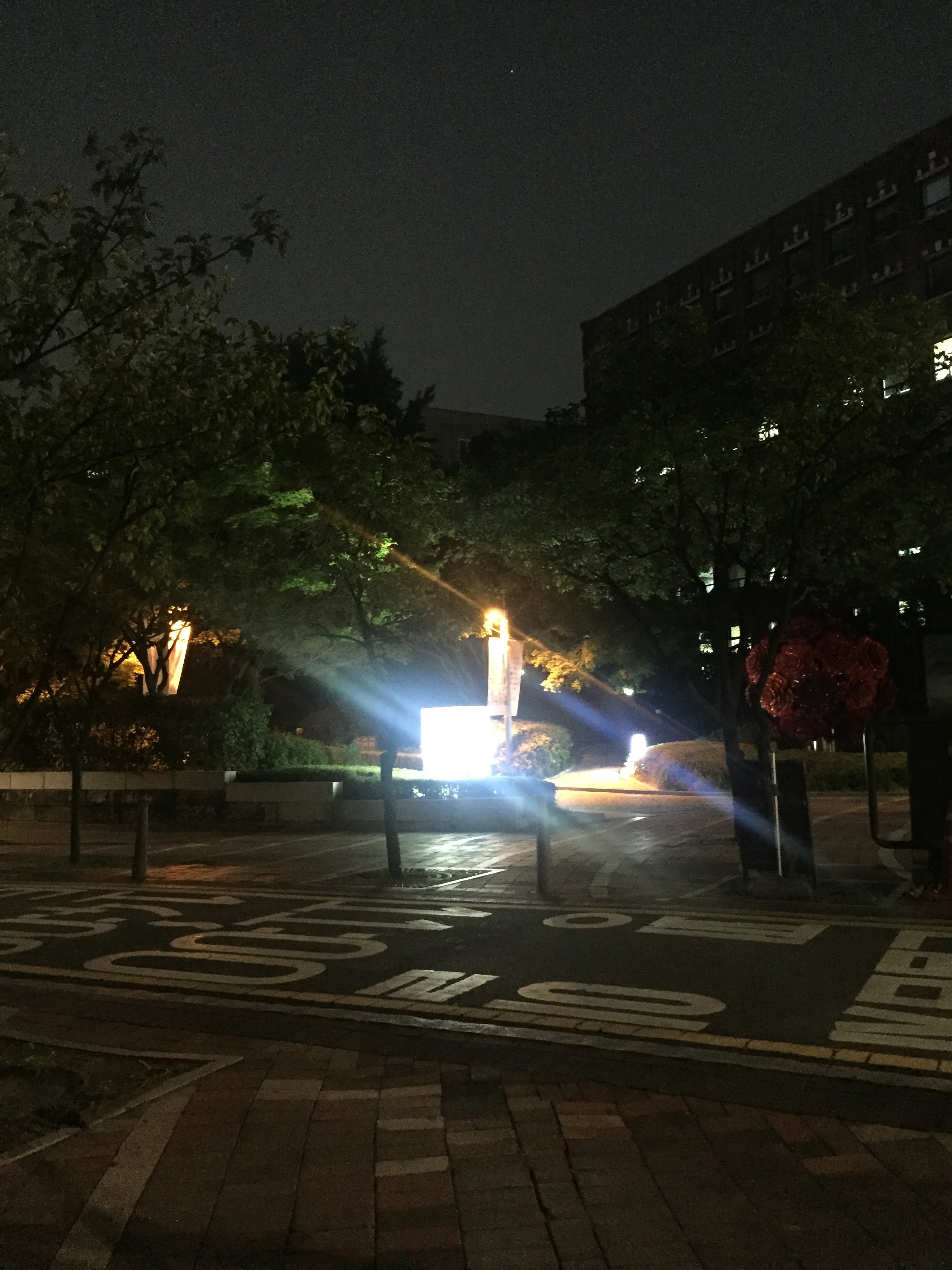 시청역 / 덕수궁 맛집 <아하바브라카> 관련 이미지 23