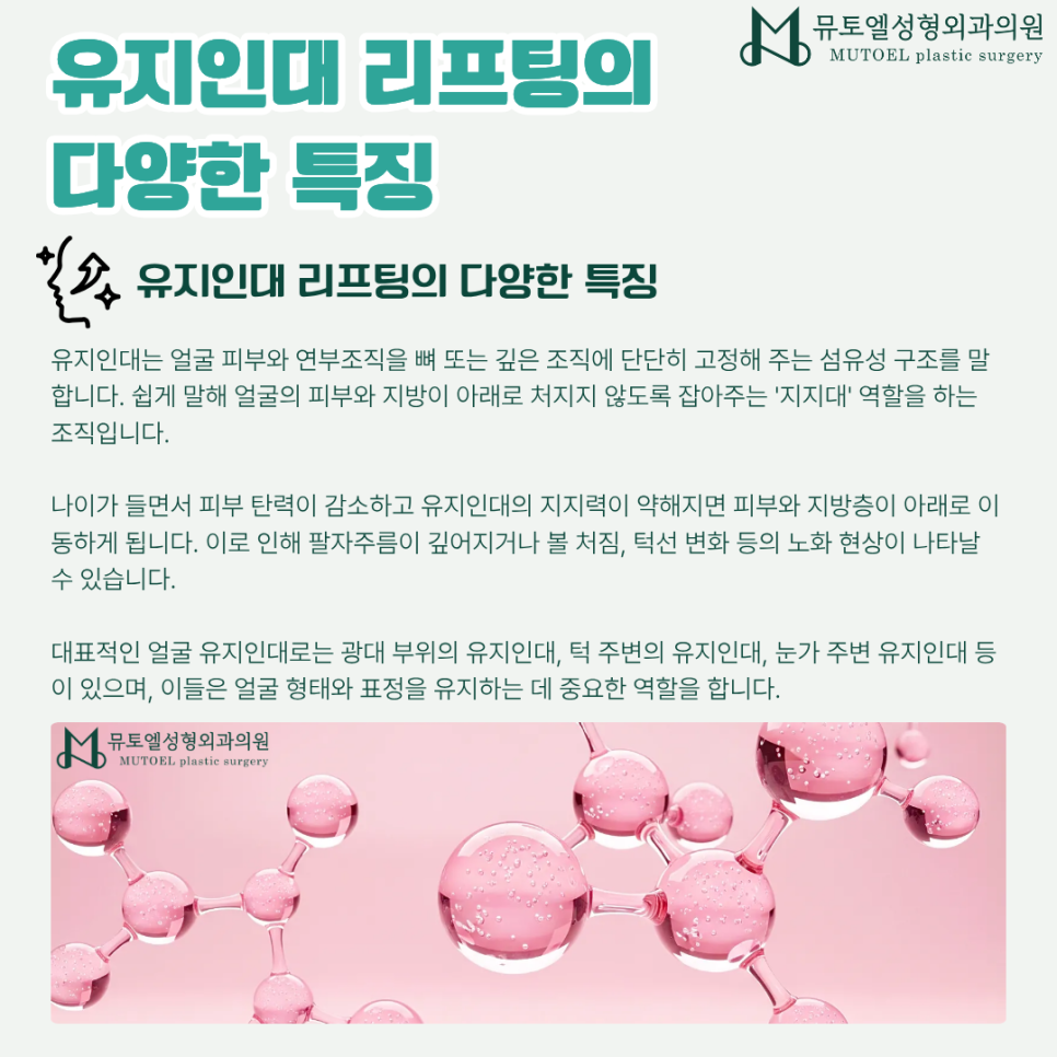 얼굴 처짐의 핵심 관련 이미지 3