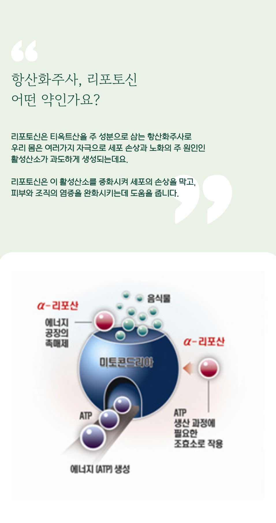 항산화주사, 리포토신으로 피로 회복부터 피부 활력까지 관련 이미지 2