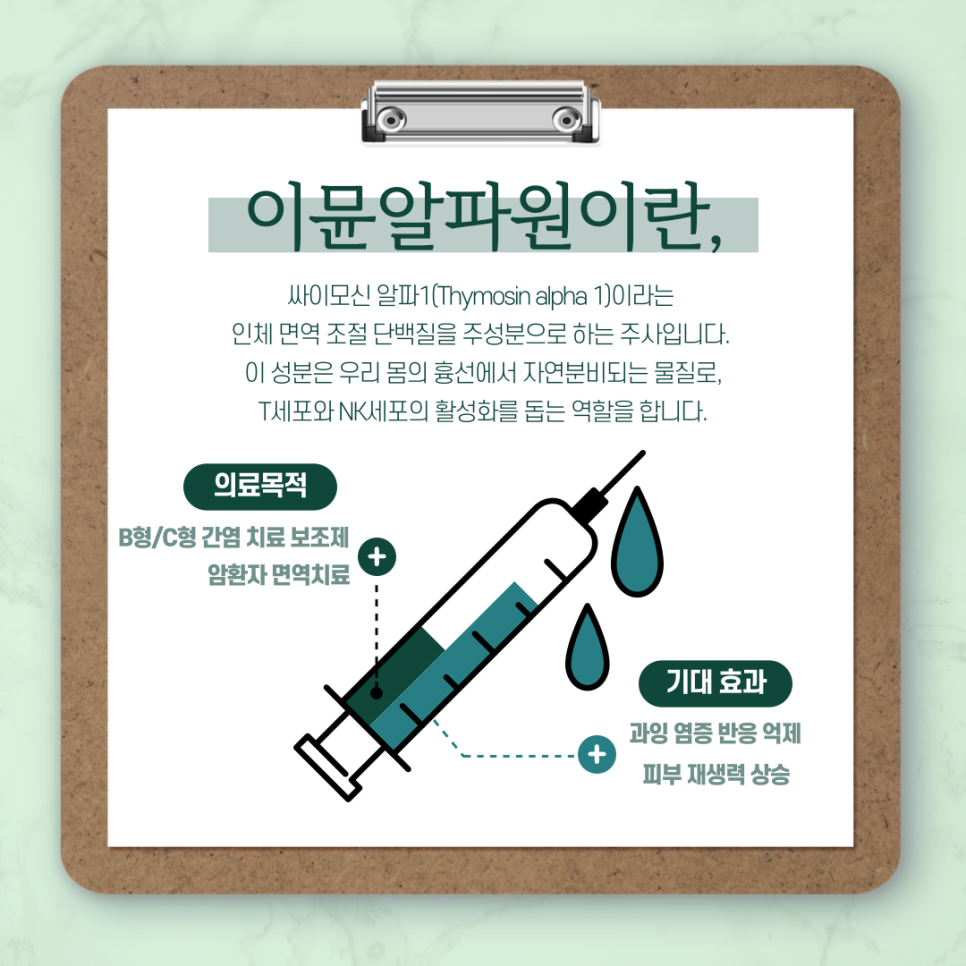 이뮨알파원 면역력 증진을 원한다면 관련 이미지 2