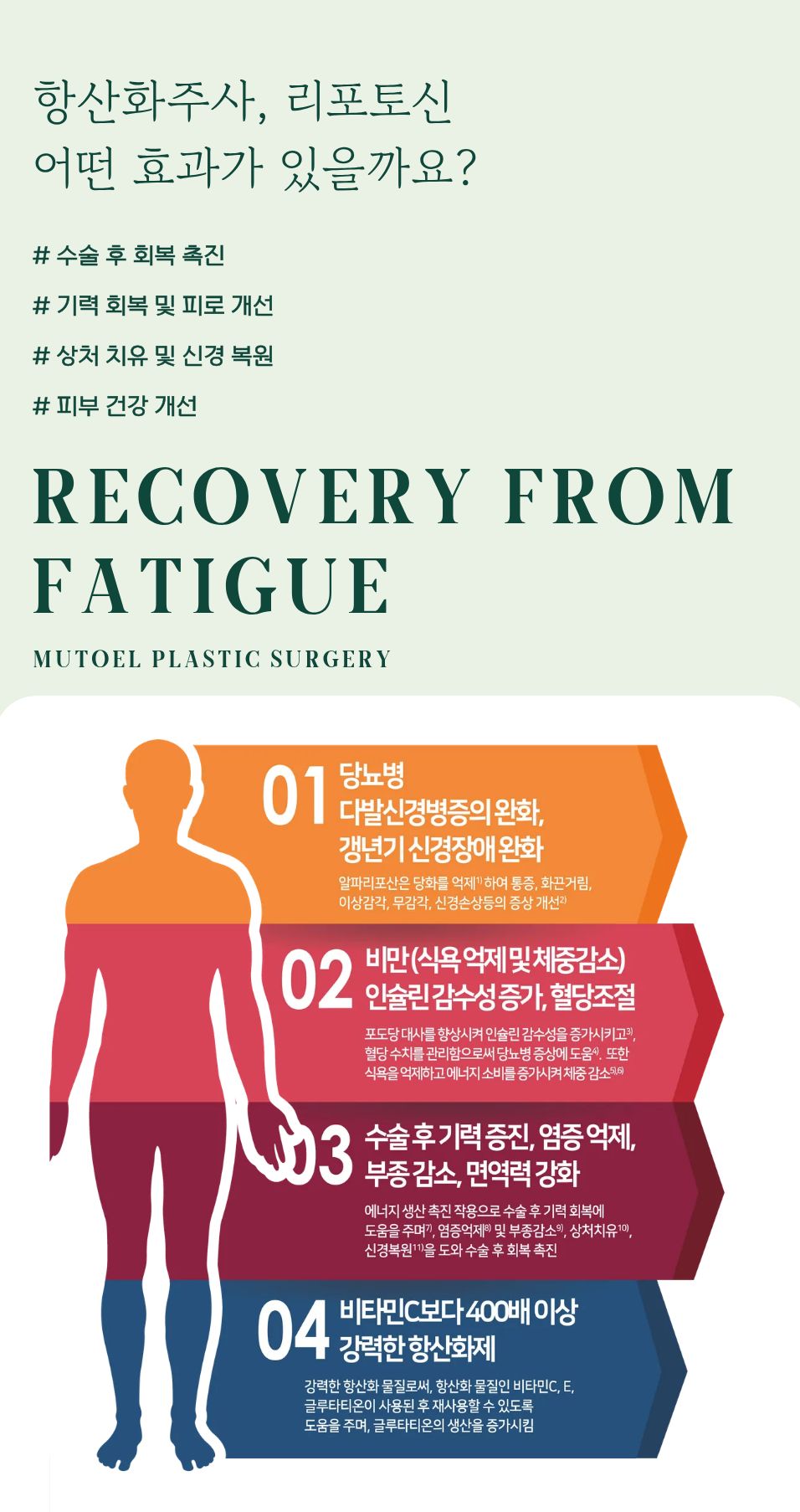 항산화주사, 리포토신으로 피로 회복부터 피부 활력까지 관련 이미지 3
