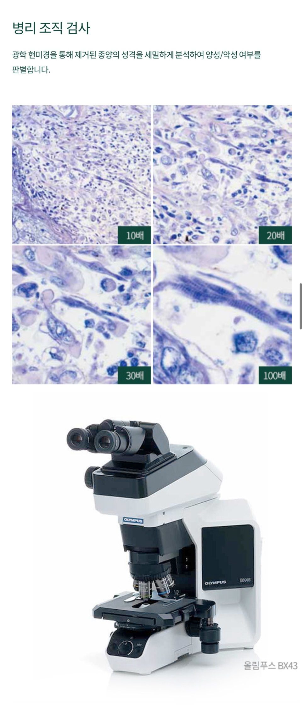 What Is the Key to Removing Benign Skin Tumors Near Yongsan Station? image 6