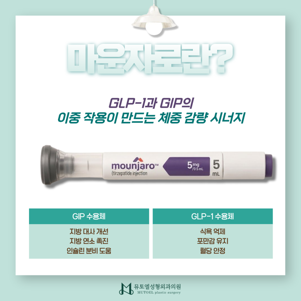 마운자로, 왜 체중 감량 효과가 높을까? 원리부터 추천 대상까지 관련 이미지 2