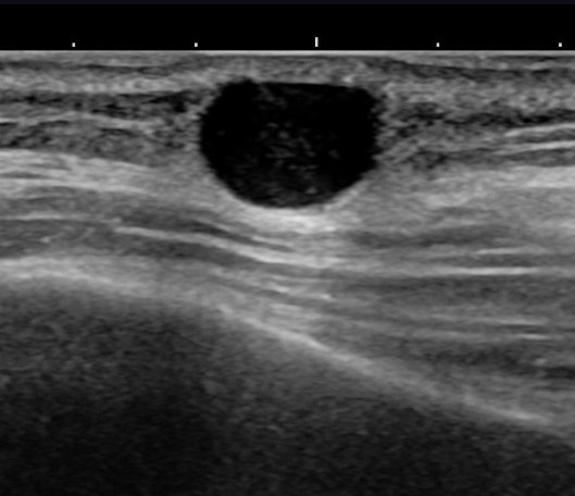 A Complete Guide to Military Civilian Hospital Referral Procedures and Medical Expense Reimbursement image 6