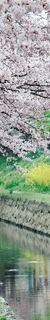 삼성역근처피부과, 인모드 꼭 내 고민에 적합한 시술인지 알아보고 시술해야 합니다. 관련 이미지 20